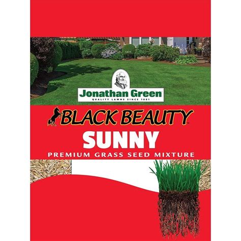 Jonathan Green Full Sun Grass Seed 3 Pound
