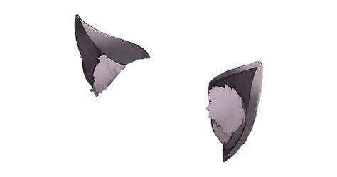 Anime Wolf Ears Png 618 X 875 Png 700