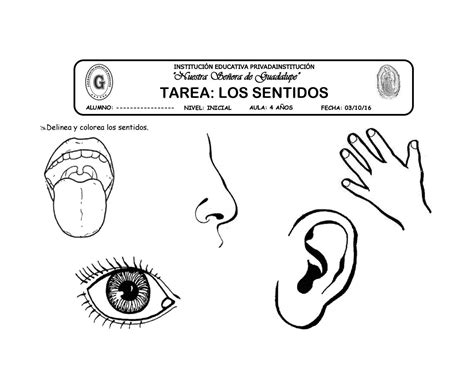 02 Tarea Los Sentidos By Katy Hormiguita Issuu