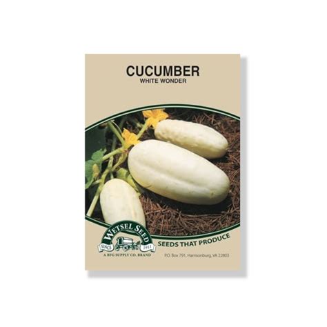 Cucumber White Wonder Seeds Wetsel Indian Creek Nursery And Garden