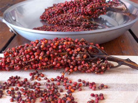 Staghorn Sumac The Dried Ground Berries Add Sumptuous Color And A