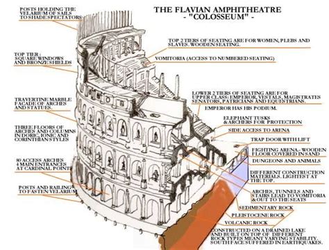Plan Of The Roman Colosseum Ancient Rome Roman History Colosseum
