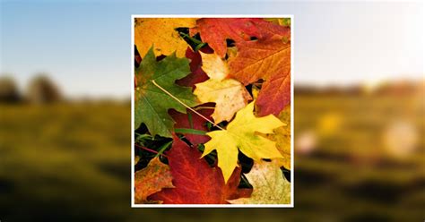 Mays Funeral Home Augusta Ga Obituariesindex2