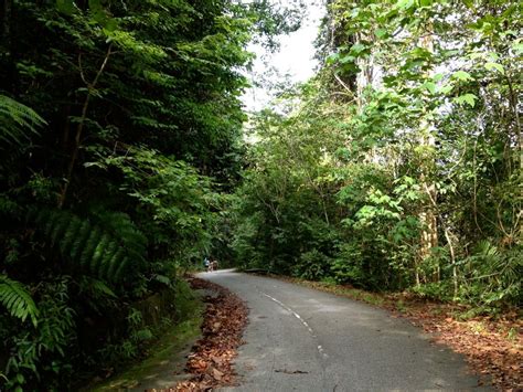 Check out updated best hotels & restaurants near gunung pulai (mount check in at one of the budget hotels in kulai for the night. Gunung Pulai Waterfall in Johor Bahru: getting there ...
