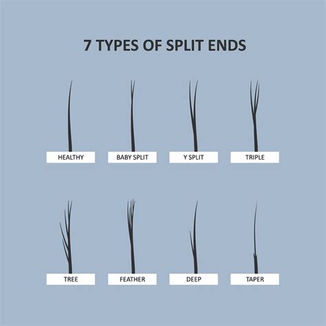 Dead Ends Vs Split Ends Can You Tell The Difference Hairstylecamp