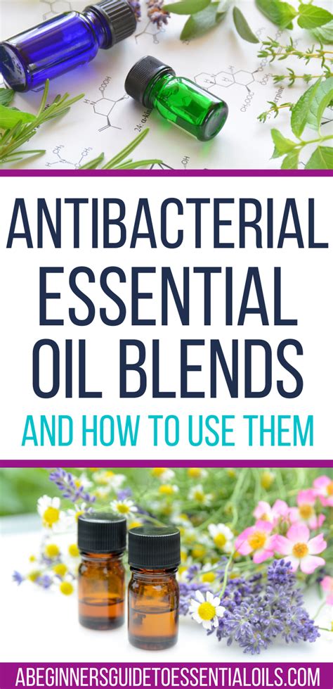 The Best Antibacterial Essential Oil Blends How To Use Them
