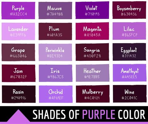 Shades Of Purple Color With The Words Shades Of Purple In Different