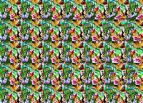 Pin By Thea Aseron On Butterfly On Butterflies Stereogram Magic Eye