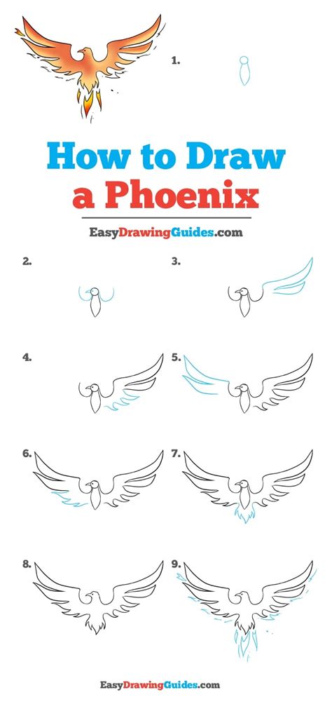 How to draw rainbow step by step / scenery of rainbow / rainbow scenery drawinglearn how to draw this scenery step by step in my drawing tutorial. How to Draw a Phoenix - Really Easy Drawing Tutorial