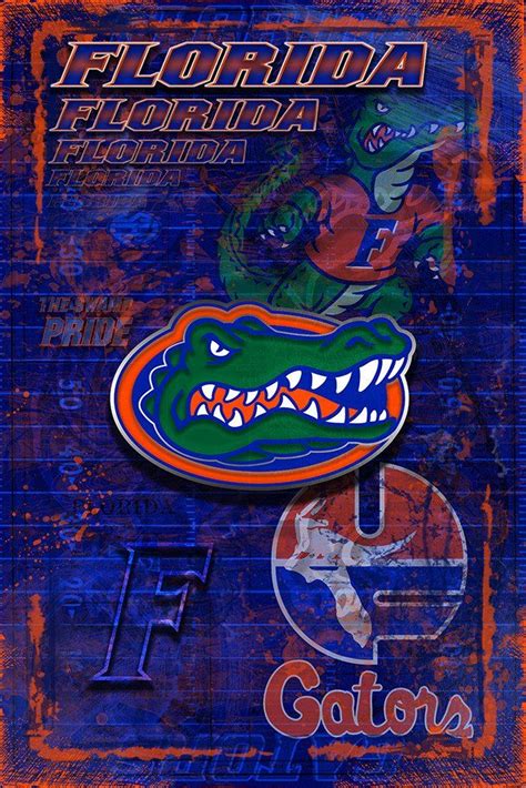Florida Gators Poster University Of Florida T Gators