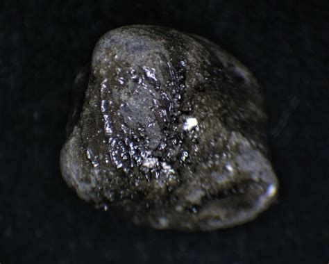 Sariçiçek Bingol Hed Crusted Meteorite Individual Howardite 1