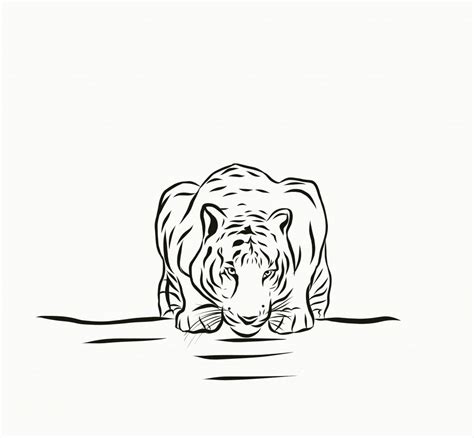 Illustration Of Tiger Drinking Water Pixahive