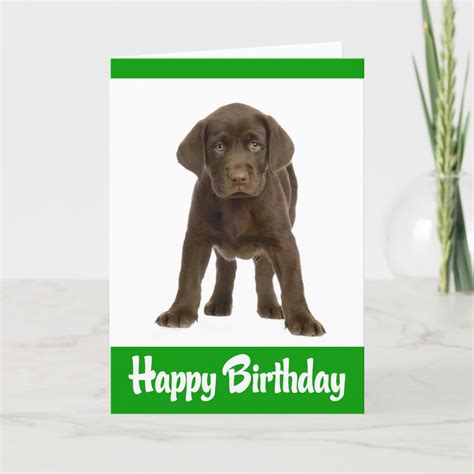 Happy Birthday Labrador Retriever Puppy Dog Card Zazzle