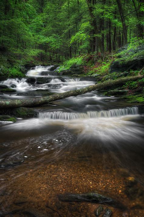 New England Mountain Stream Portrait Photograph By Bill Wakeley Fine
