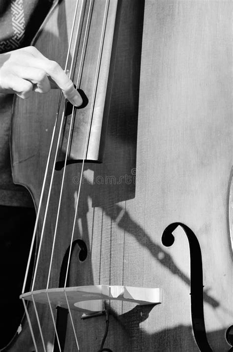 Cello Double Bass With Fingers Plucking Stock Image Image Of Sitting