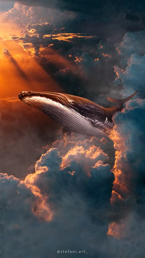 Whale On Sky Wallpaper By Stefanirmt On Deviantart