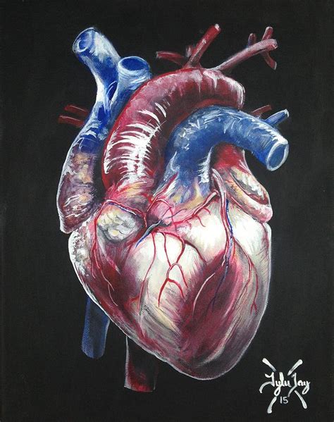 Anatomical Heart Painting By Tyler Haddox