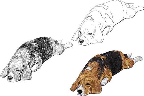 150 How To Draw A Dog Lying Down Drawings Illustrations Royalty Free