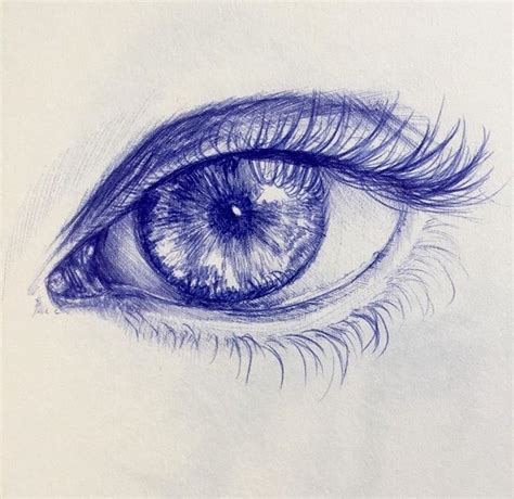 Eye Sketch By Shannagh Leigh On