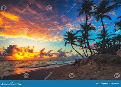 Landscape Of Paradise Tropical Island Beach Stock Photo Image Of Blue