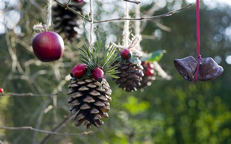 Homemade Outdoor Holiday Decorations Made From Natural