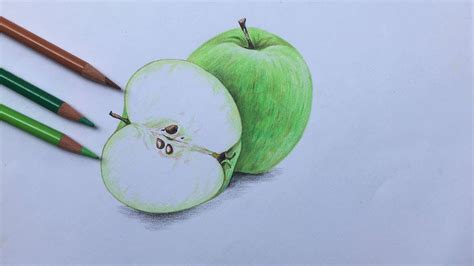 Green Apple Drawing In Color Pencil Apple Drawing For Beginners