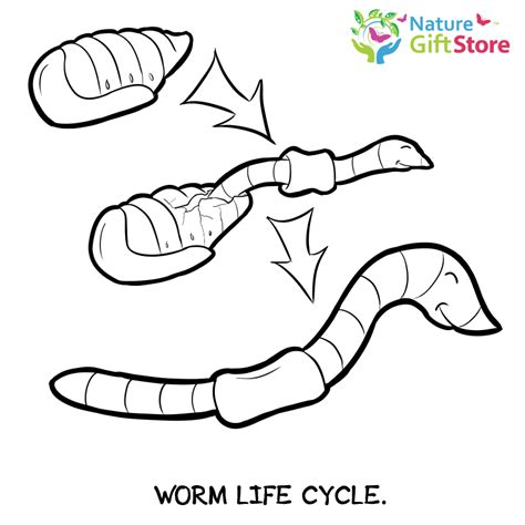 Diary of a worm coloring pages. Printable Coloring Pages - Nature Gift Store