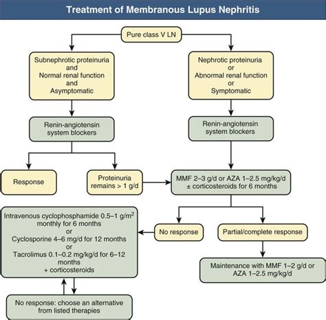 Lupus Nephritis Abdominal Key