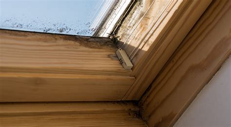 But for those who are really worried about the bottom line and maintenance down the road, they might be more of a headache than they. Are Skylights a Bad Idea? The Pro's & Cons of Velux's ...