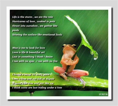 Poems About Frogs
