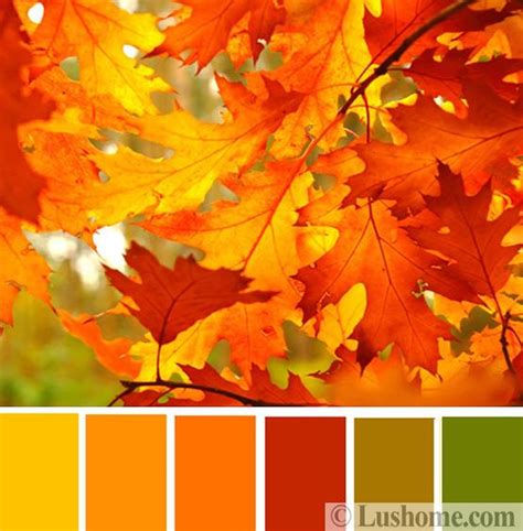Interior Design Inspirations Fall Color Schemes Inspired By Natural Hues