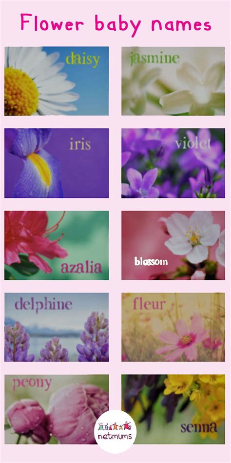 Unique Flower Names With Meaning Good Business Names