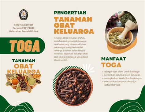 Pembuatan Leaflet Tanaman Obat Keluarga Oleh Mahasiswa Kkn Undip