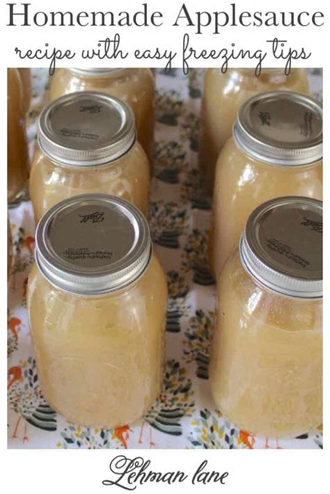 Super Easy Homemade Applesauce Recipe With Canning And Freezing Tips