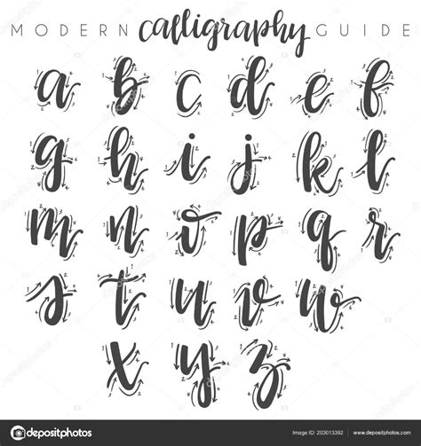Download Modern Calligraphy Guide Vector Illustration — Stock
