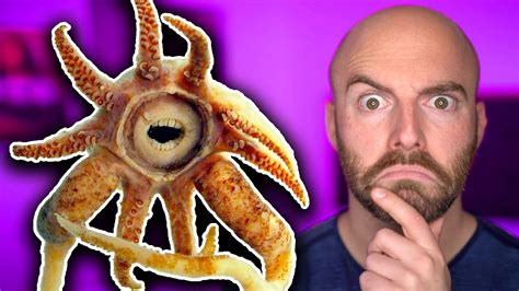 The Most Unexplainable Mysteries Of The Deep Sea Youtube