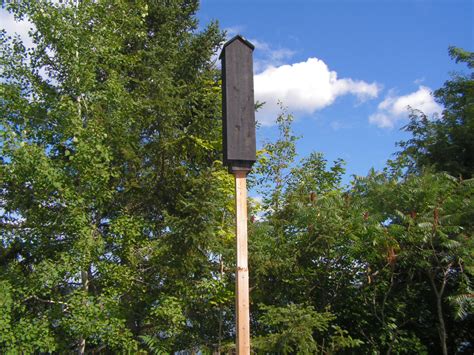 Batbnb is a line of designer bat houses endorsed by the world's leading bat biologist. Backyard bat house | Outdoor furniture Design and Ideas