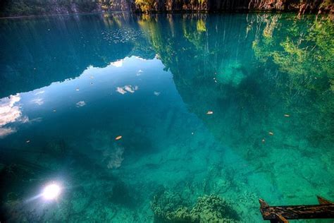 Barracuda Lake Craziest Dive Site In The Philippines Travel To The