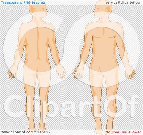 Clipart Of A Human Anatomy Man Front And Back Royalty Free Vector Illustration By Patrimonio