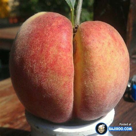 14 Funny Shaped Fruits And Vegetables