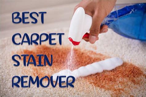 5 Best Carpet Stain Removers Efficient And Bio Friendly