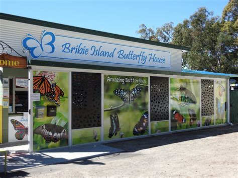 Bribie Island Butterfly House Attraction Tour Bongaree