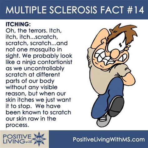 Ophthalmoplegia arises from involvement of the cranial nerve nuclei, resulting in symptoms of a cranial nerve palsy, or involvement of the medial longitudinal. 342 best Multiple Sclerosis images on Pinterest