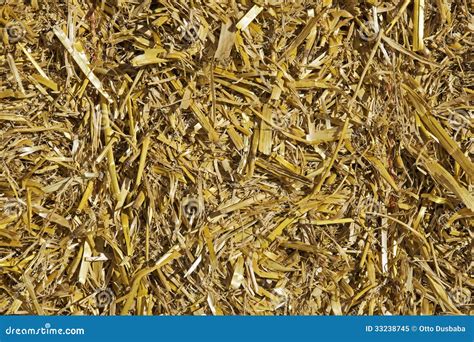 Compressed Straw Suitable For Background Stock Image Image Of Stalk
