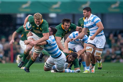 springboks beat argentina but lose out on rugby champs title