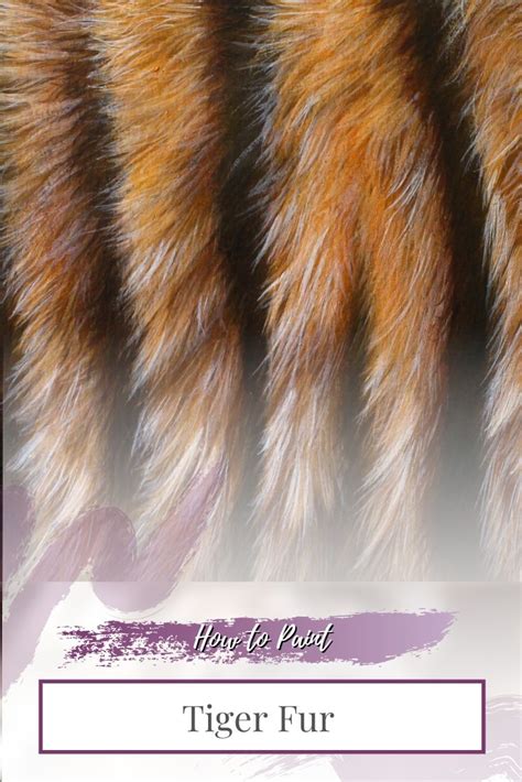 How To Paint Tiger Fur With Oil Paint Or Acrylic Paint Tiger Fur