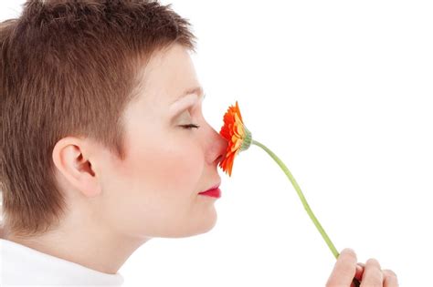 How To Tune Out Common Odors And Focus On Important Ones Neuroscience