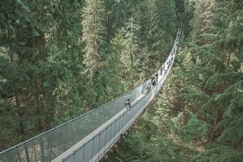 8 Capilano Suspension Bridge Facts To Know Before You Go Rock A
