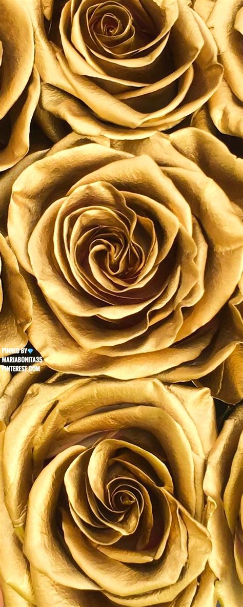 Sep 28, 2021 · general information phone: Gold Aesthetic | Gold aesthetic, Gold wallpaper iphone ...
