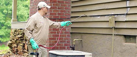 Some farmers are trying to release predatory we've been on the frontlines of stink bug control since the brown marmorated stink bug arrived in new we offer individual treatment plans that combine inspection, treatment, and. Pest and Insect Library - Pest Identification - DoMyOwn.com
